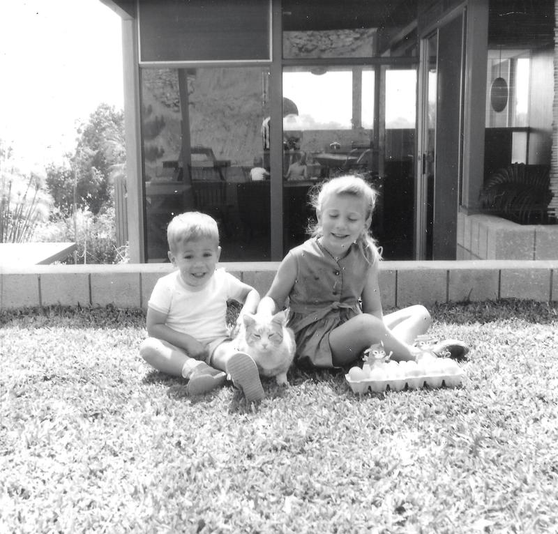 Hey House back yard 3