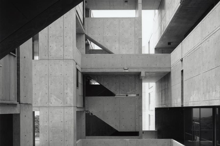 Kahn Salk Shulman