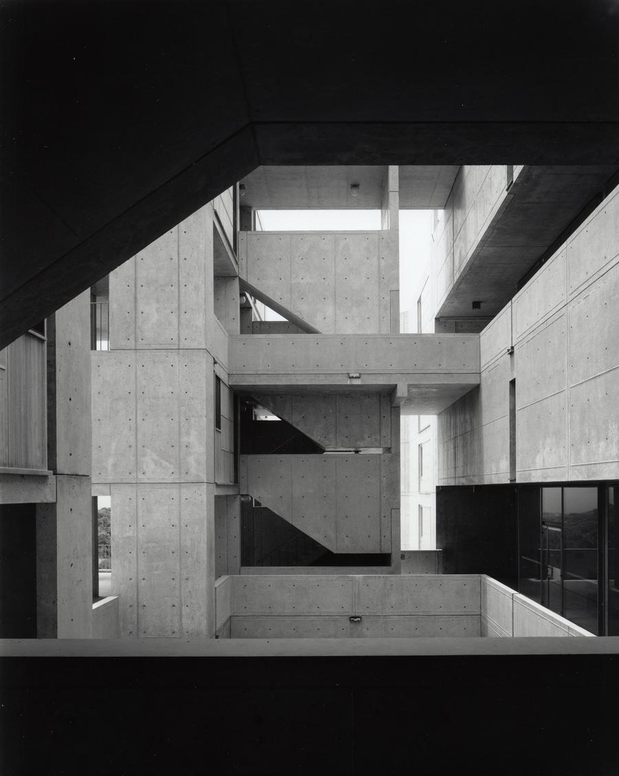 Kahn Salk Shulman