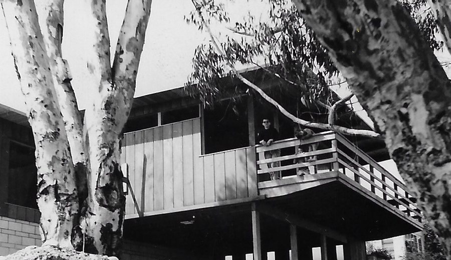 Screen Shot 2019 02 25 at 6 04 48 PM