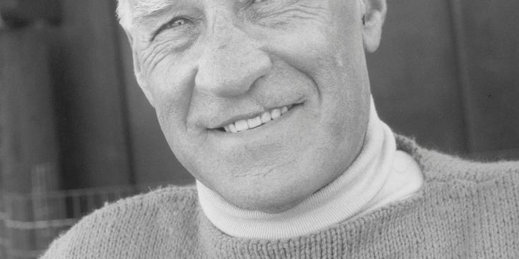 Soriano Portait Shulman