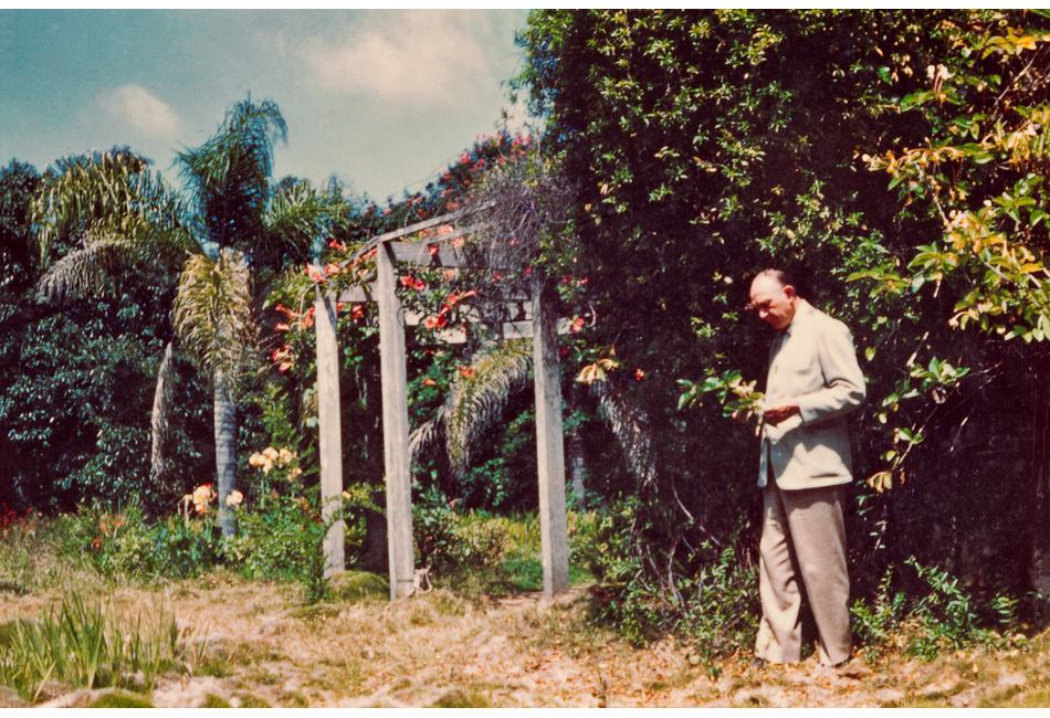 Wijdeveld in Spruit Yard