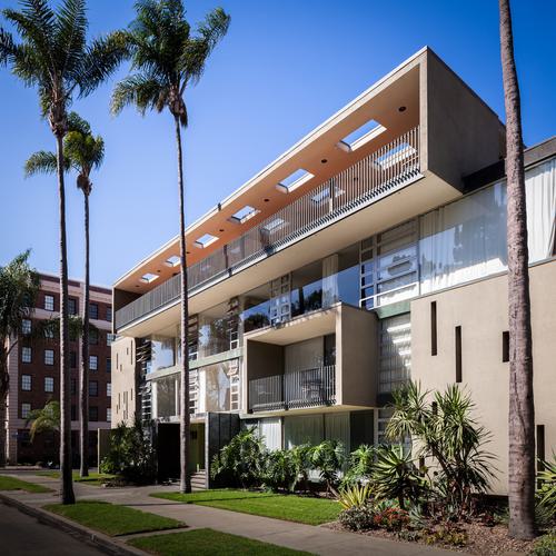 Bradley hester salomon 1